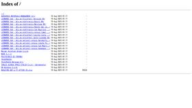Screen